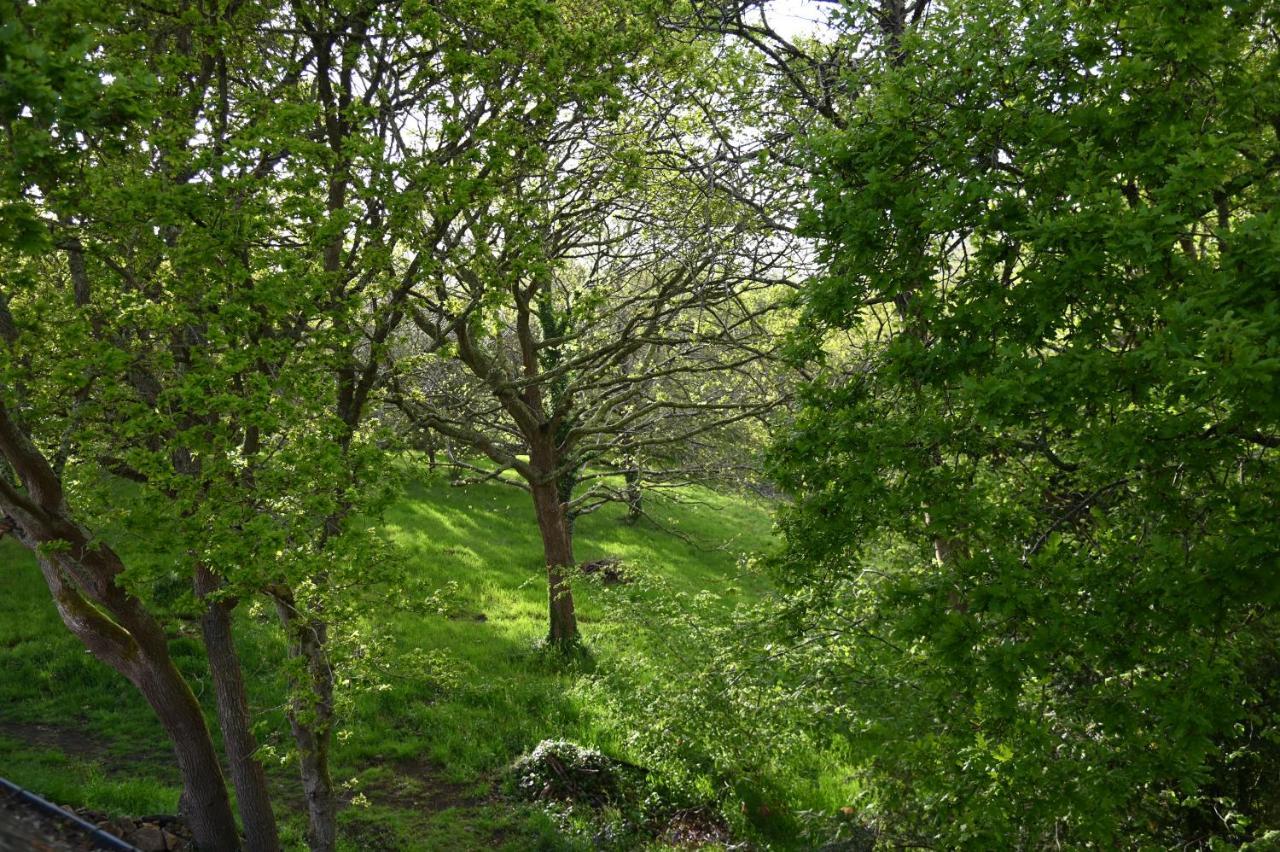 Aux Arbres Chanteurs Ploulech Exteriör bild